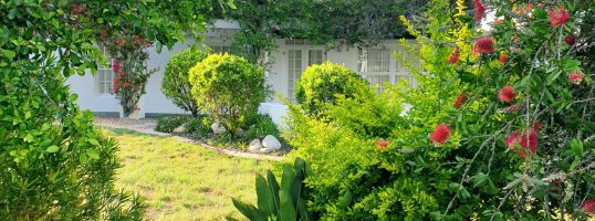 tania-melnyczuk-E4Ryf8GKWbs-unsplash