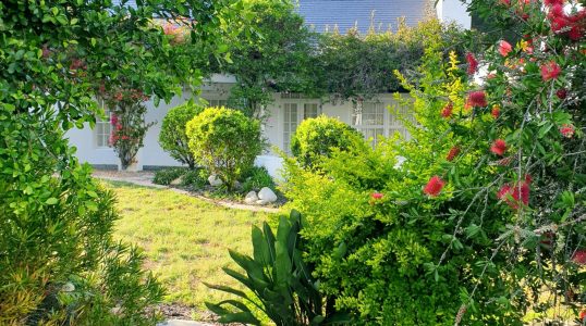 tania-melnyczuk-E4Ryf8GKWbs-unsplash